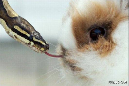 Cool Funny Pictures To Make You Smile