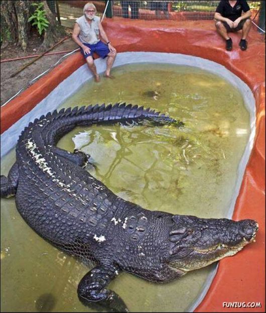 Cool Funny Pictures To Make You Smile