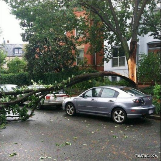 Cool Funny Pictures To Make You Smile