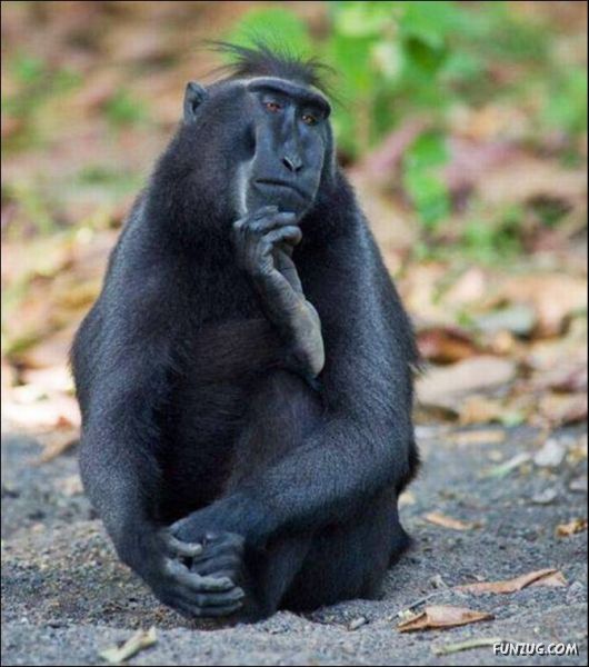 Cool Funny Pictures To Make You Smile