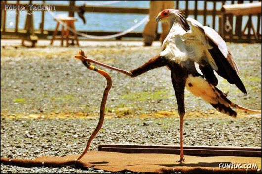 Cool Fun Pix Of The Day