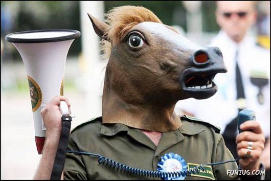 Cool Fun Pix Of The Day