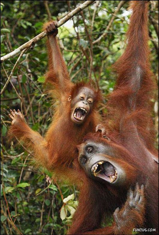 Cool Fun Pix Of The Day