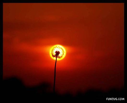 Cool Fun Pix Of The Day