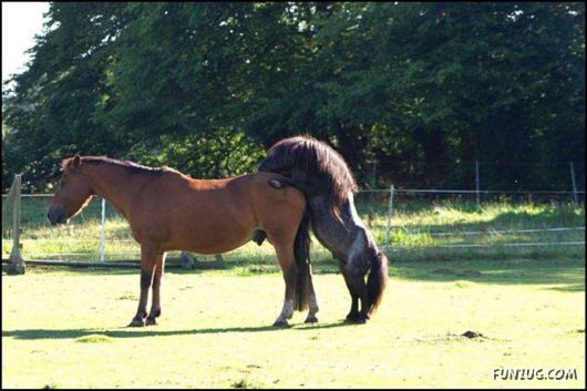 Cool Fun Pix Of The Day