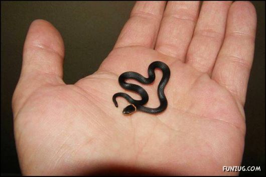 Cool Fun Pix Of The Day