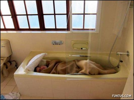 Cool Fun Pix Of The Day