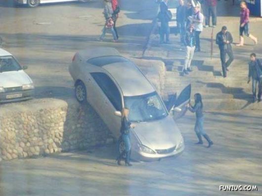 Some Daily Cool Pics