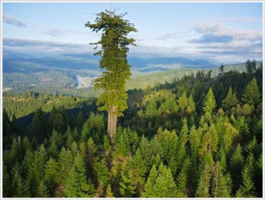 Daily Cool Pictures Collection