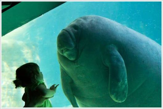 Daily Cool Pictures Collection