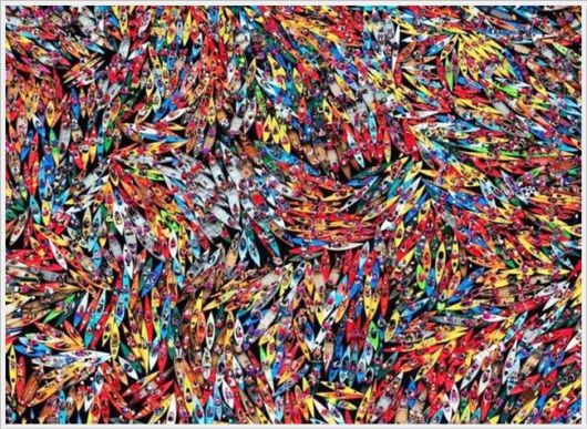 Daily Cool Pictures Collection