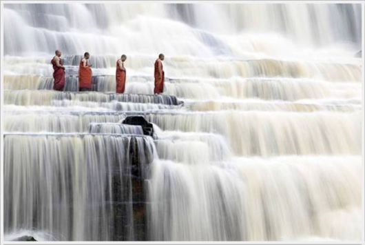 Daily Cool Pictures Collection