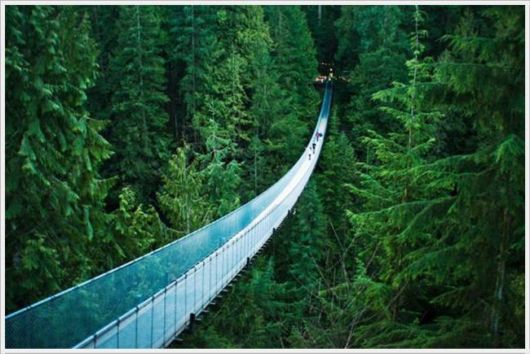 Daily Cool Pictures Collection