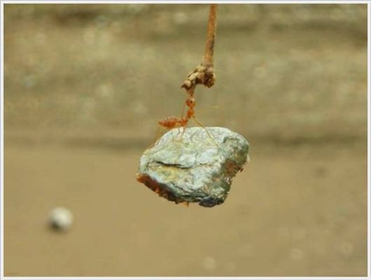 Daily Cool Pictures Collection