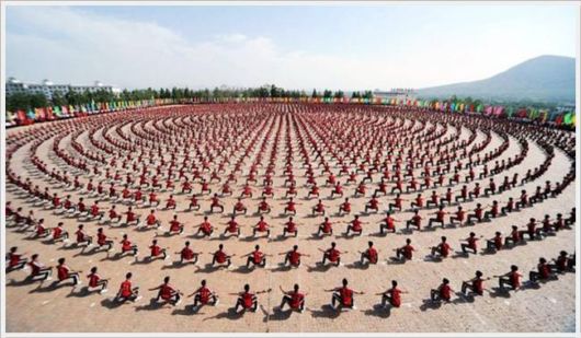 Daily Cool Pictures Collection