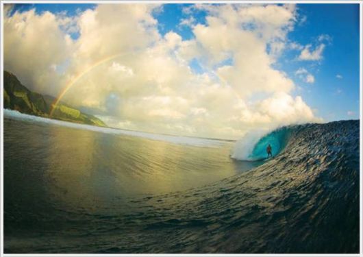 Daily Cool Pictures Collection