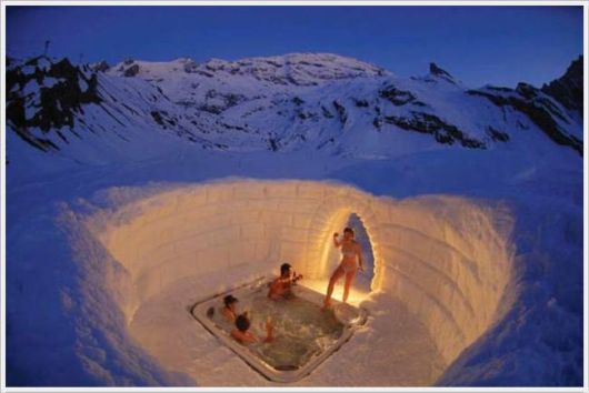 Daily Cool Pictures Collection