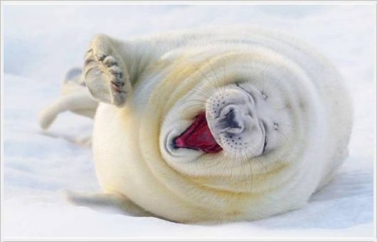 Daily Cool Pictures Collection