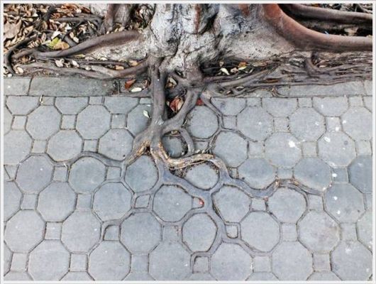 Daily Cool Pictures Collection