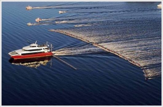 Daily Cool Pictures Collection