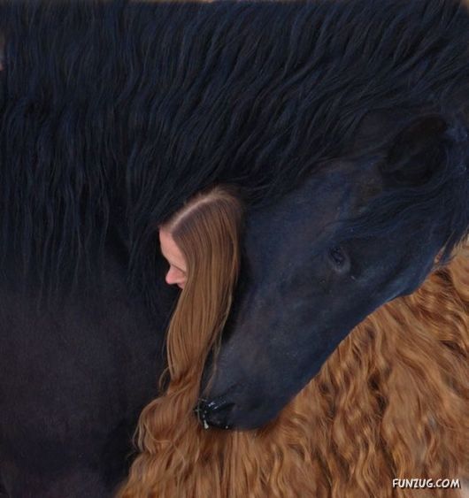 Daily Mix Funny Pictures Collection