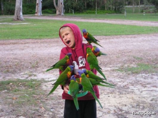 Daily Mix Funny Pictures Collection