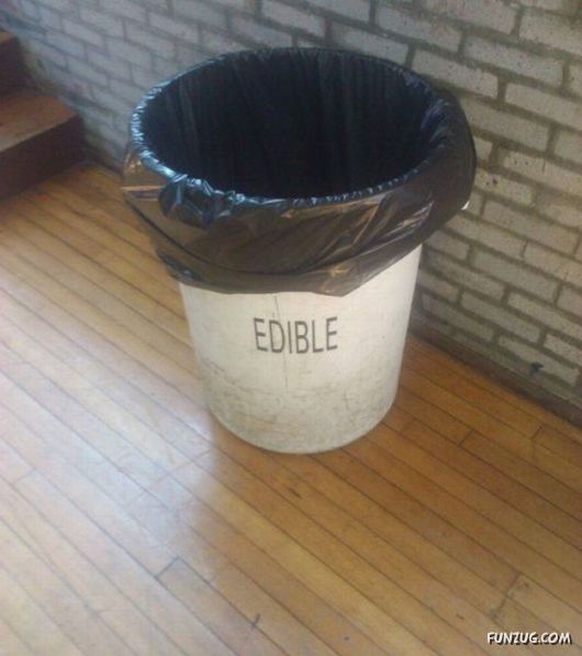 Daily Mix Funny Pictures Collection