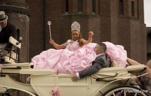 Daily Mix Funny Pictures Collection