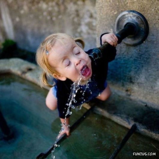 Daily Mix Funny Pictures Collection