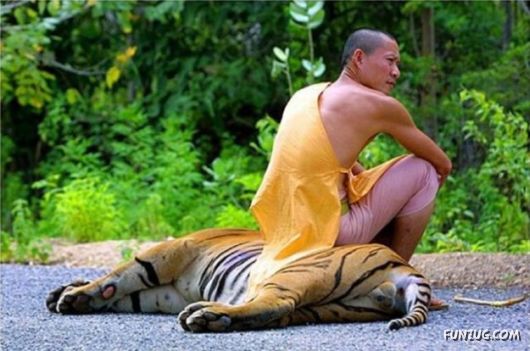 Daily Mix Funny Pictures Collection