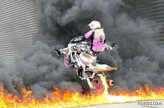 Daily Mix Funny Pictures Collection