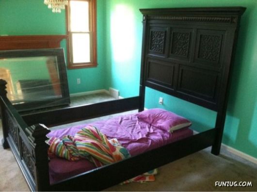 Daily Mix Funny Pictures Collection