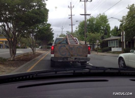 Daily Mix Funny Pictures Collection