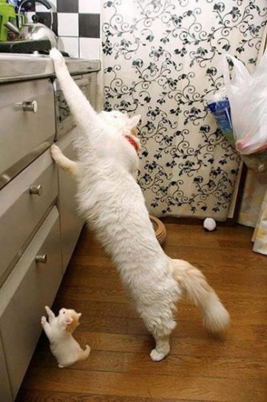 Do You Think, A DNA Test Is Required?