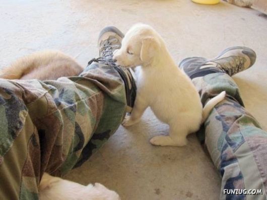 Fun Pictures For Fun Lovers