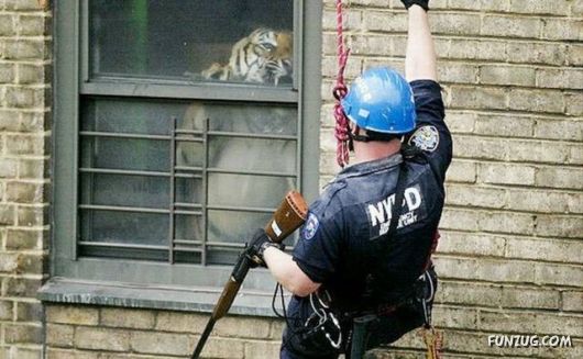 Fun Pictures For Fun Lovers