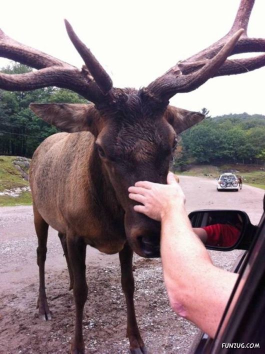 Fun Pictures For Fun Lovers