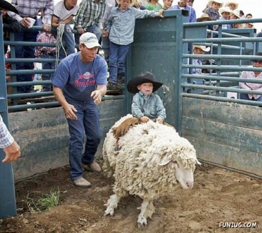 Fun Pictures For Fun Lovers