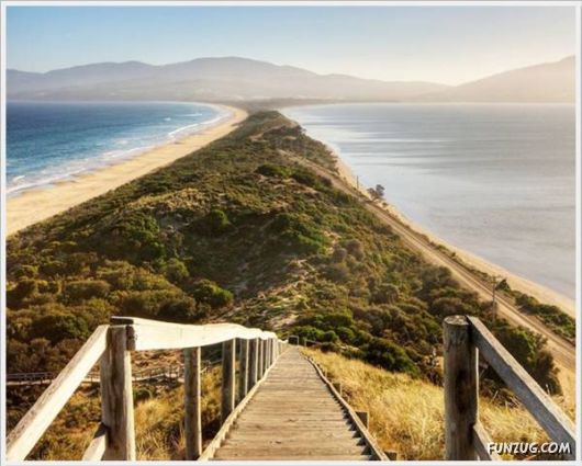 Funny Cool Pictures Collection