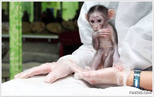 Funny Cool Pictures Collection