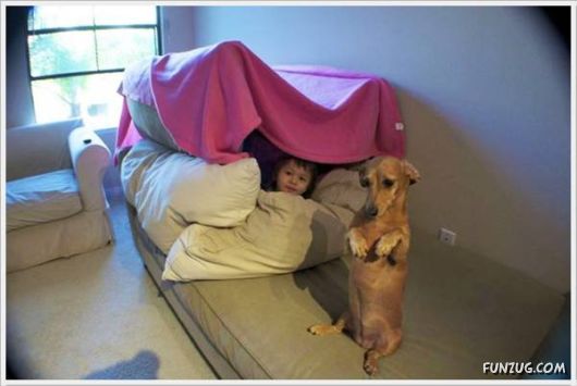 Funny Cool Pictures Collection