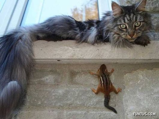 Funny Pix for Fun Lovers