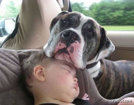 Funny Pix for Fun Lovers