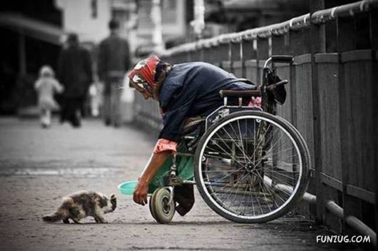 Funny Pix for Fun Lovers