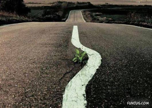 Funny Pix for Fun Lovers