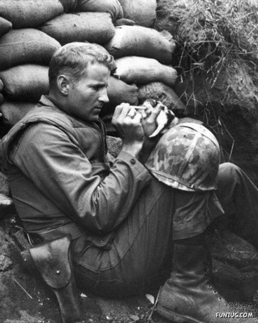 Funny Pix for Fun Lovers