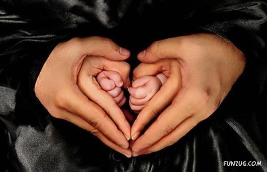 Funny Pix for Fun Lovers