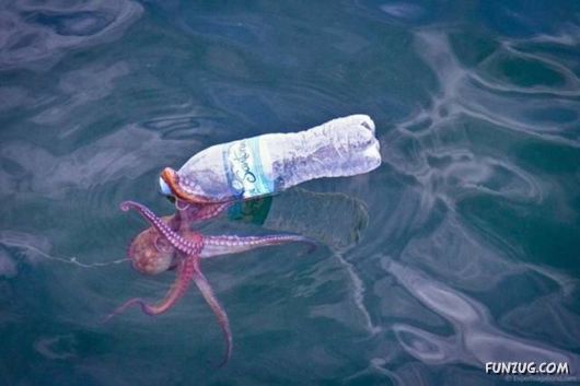 Funny Pix for Fun Lovers