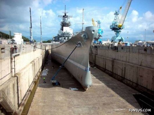 Funny Pix for Fun Lovers