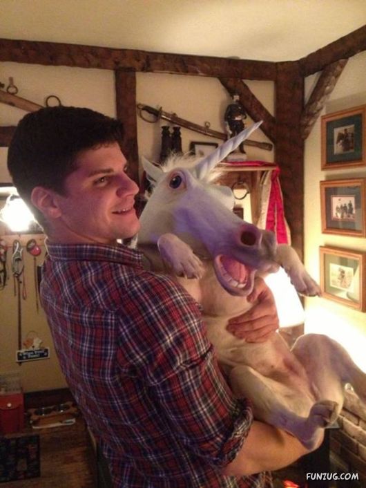 Funny Pix for Fun Lovers